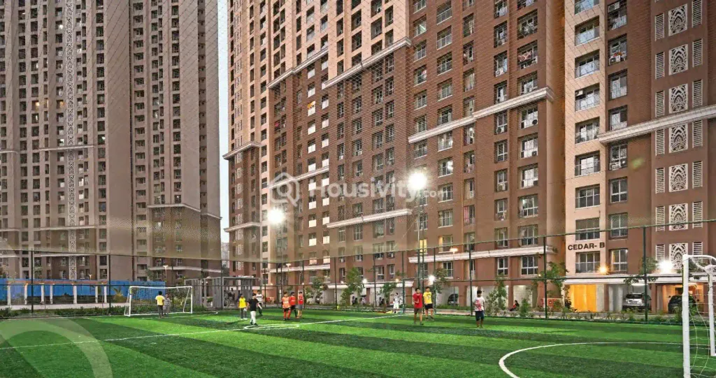 Dosti Willow Image 3