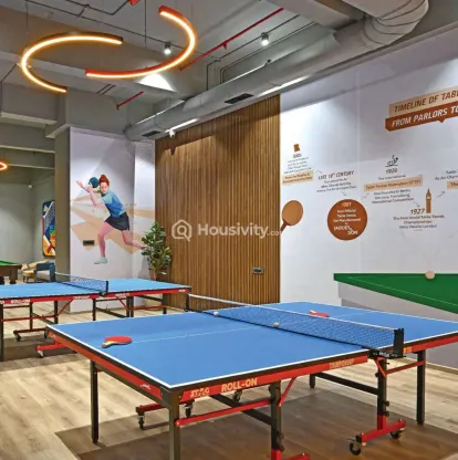 Dosti Willow Image 13