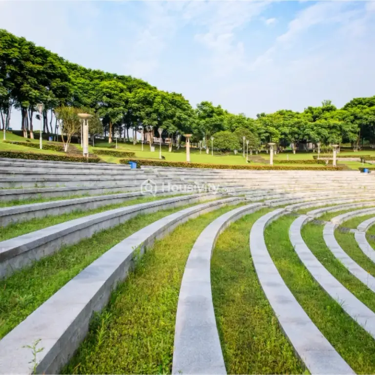 Dosti Tulip Image 10