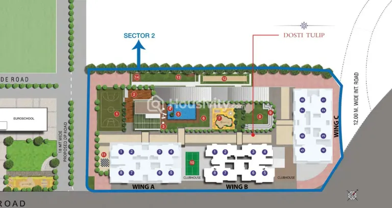 Dosti Tulip Image 13