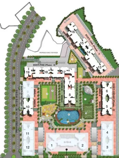 Dosti Olive Image 13