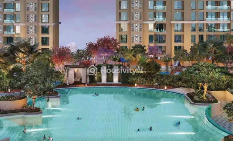 Dosti Olive Image 10