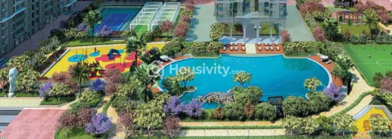 Dosti Olive Image 11