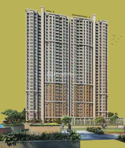 Dosti Olive Thumbnail