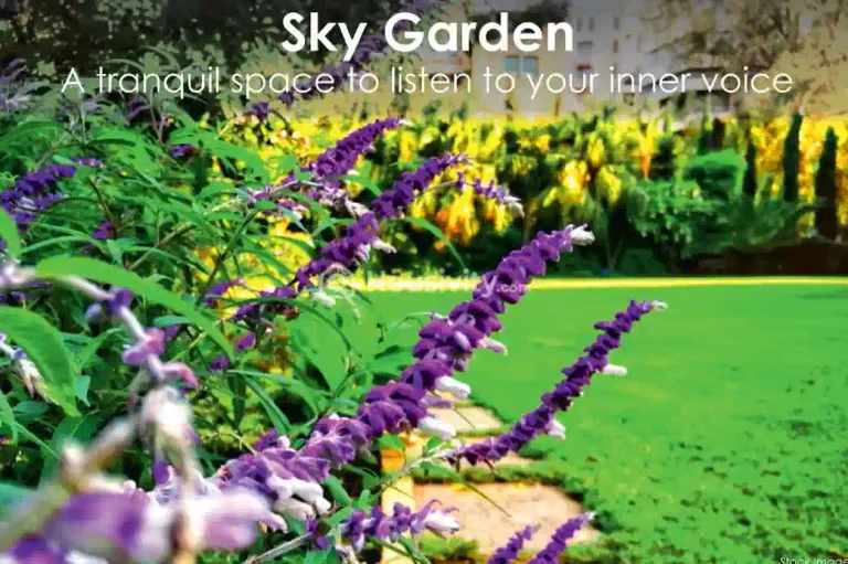 Payal Paradise Image 3