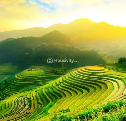 Puraniks Rumah Bali Image 6