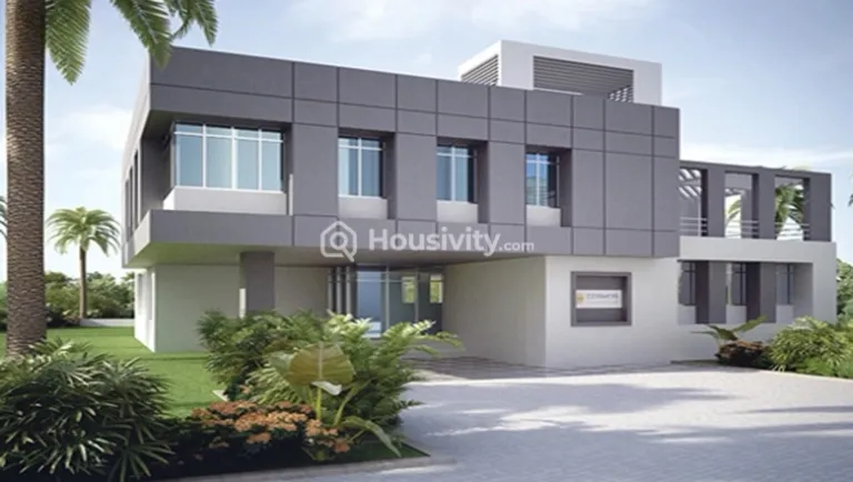 Cosmos Classique Hilton Image 2