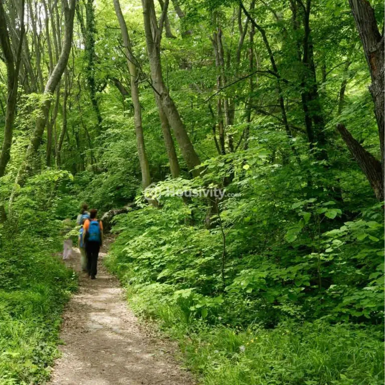 Raunak Serene Image 7