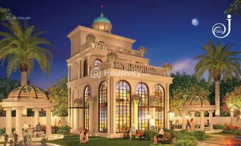 Jijai Tulsi Image 10