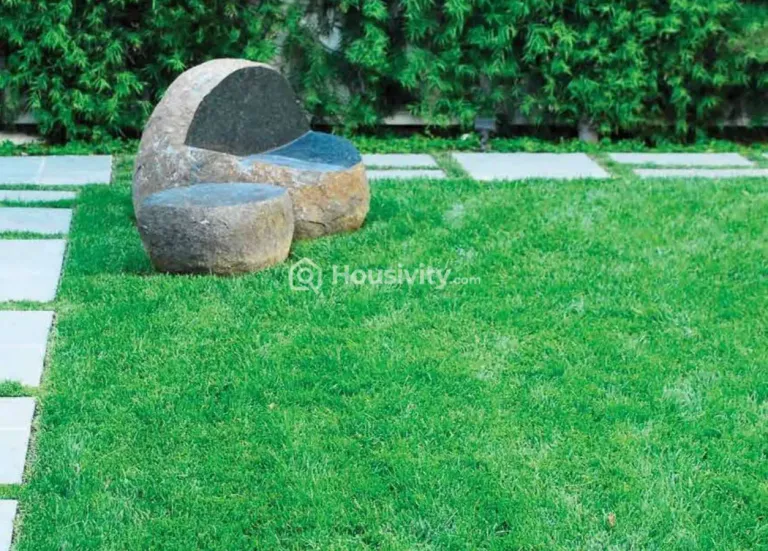 Kalpataru Immensa Image 12