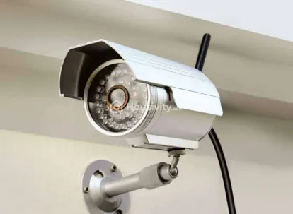 Kalpataru Immensa Image 6