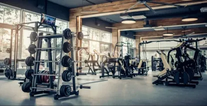 SS Balaji Gopal Image 2