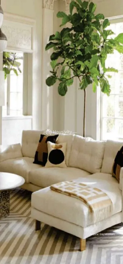 SS Balaji Vasant Image 2