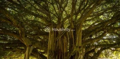 Godrej Ascend Image 22