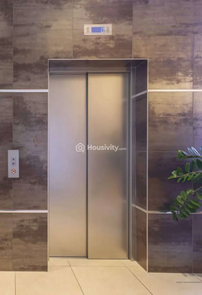 Vihang The Promise Image 4