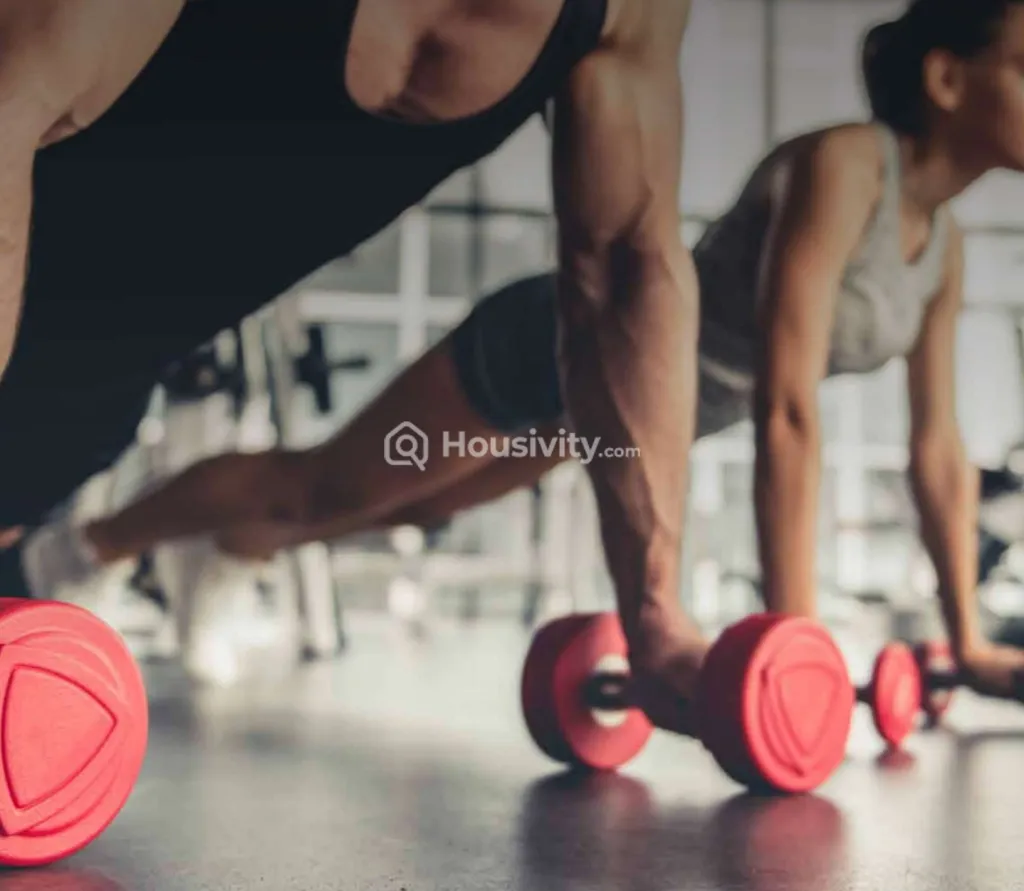 Vihang Valley Image 4