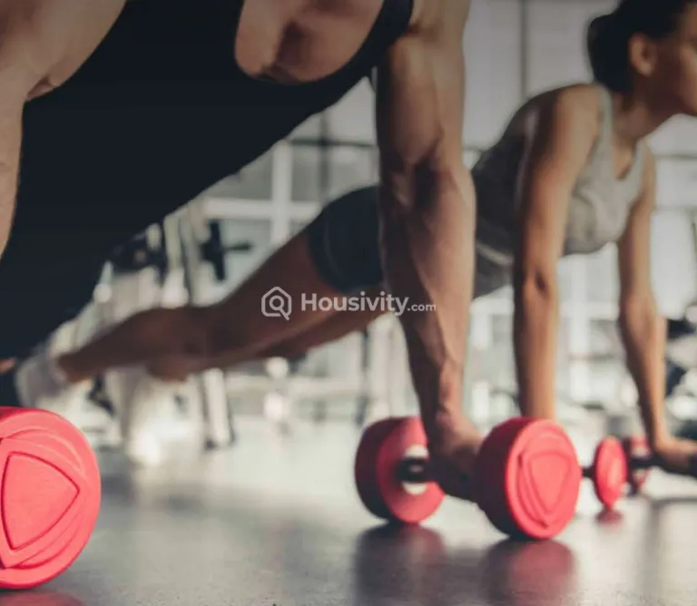 Vihang Valley Image 4