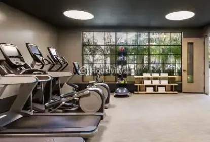 Ace Codename Aristo Image 7