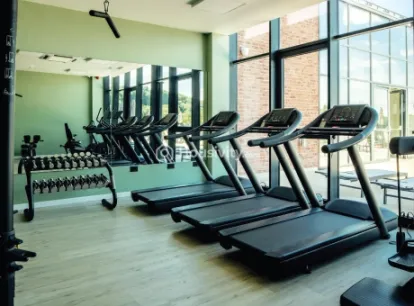 Ace Codename Aristo Image 6