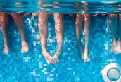 Ace Codename Aristo Image 8