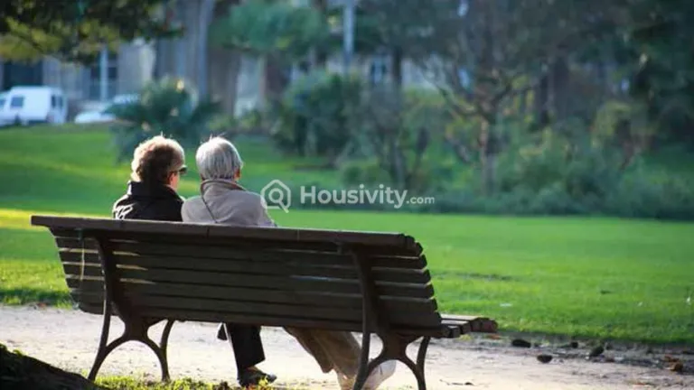 Green Square Image 4