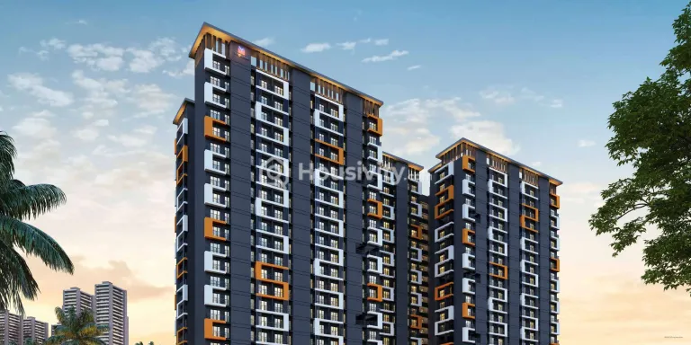 Squarefeet Y Square Image 6