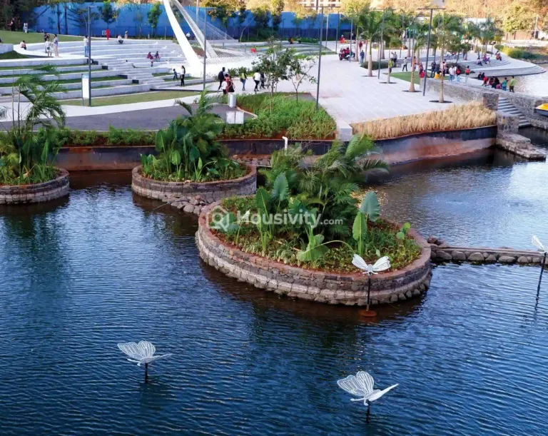 Squarefeet Y Square Image 4