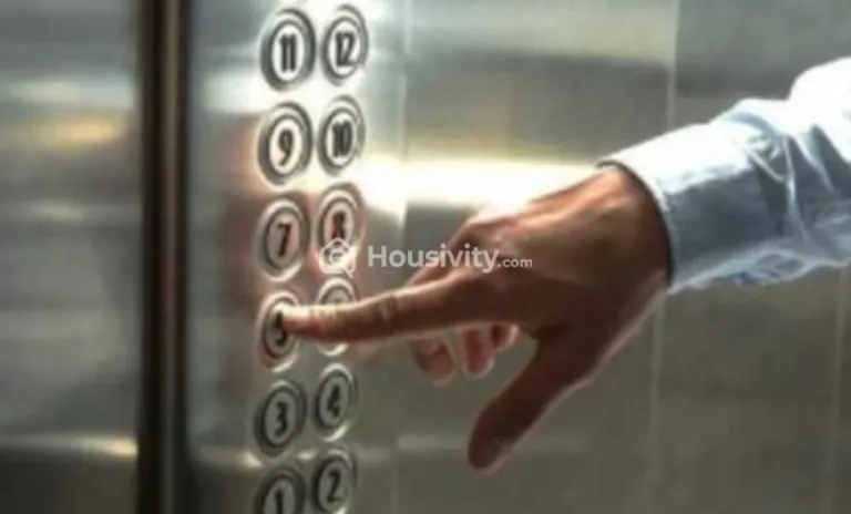 Ostwal Paradise Image 3