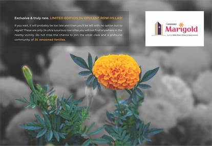 Gandharv Marigold Brochure Image 2