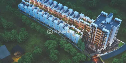 Gandharv Marigold Image 3