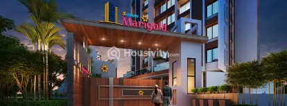 Gandharv Marigold Image 4