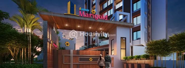 Gandharv Marigold Image 4