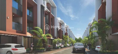 Gandharv Marigold Image 5