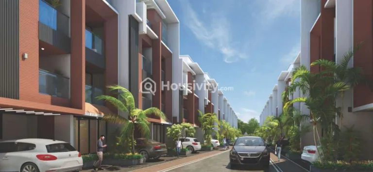 Gandharv Marigold Image 5