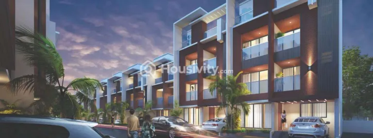 Gandharv Marigold Image 1