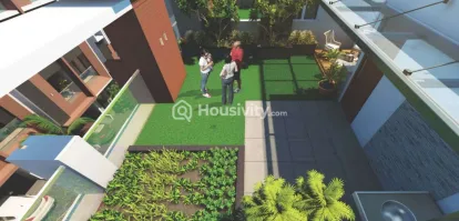 Gandharv Marigold Image 6