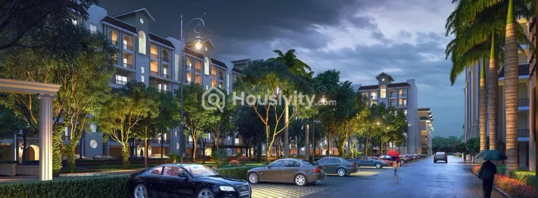 Gandharv Marigold Image 7