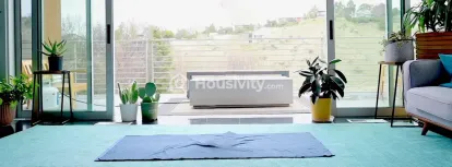 Gandharv Marigold Image 8