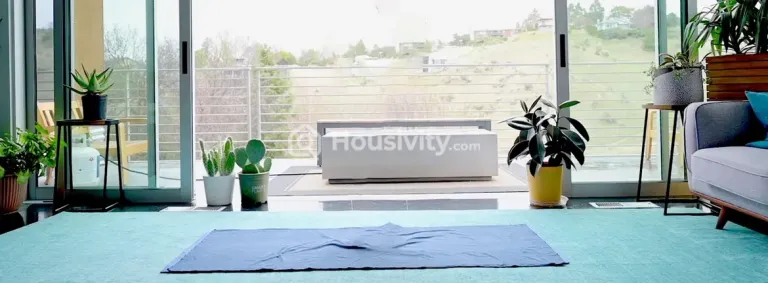 Gandharv Marigold Image 8