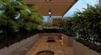 Sonigara 24 Sunshine Viva Image 5