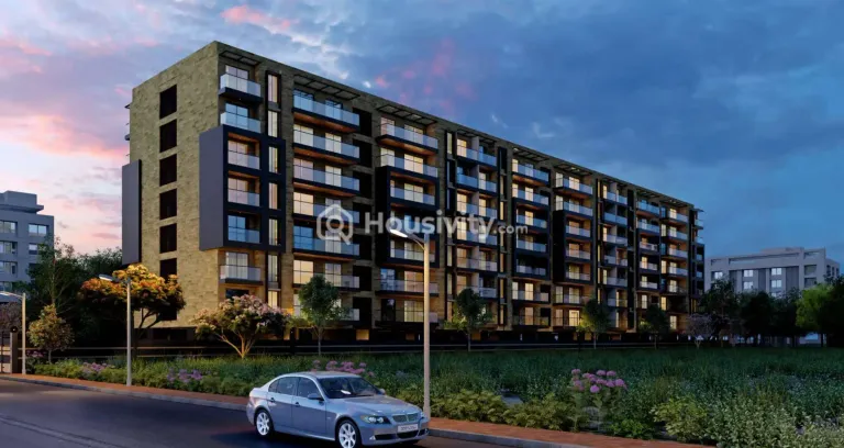 Sonigara 24 Sunshine Viva Thumbnail