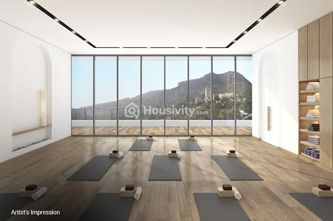 Sheth Montana Image 19