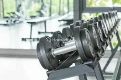 Salasar Esquire Image 1