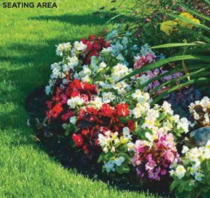 Avianna Invicta Image 4