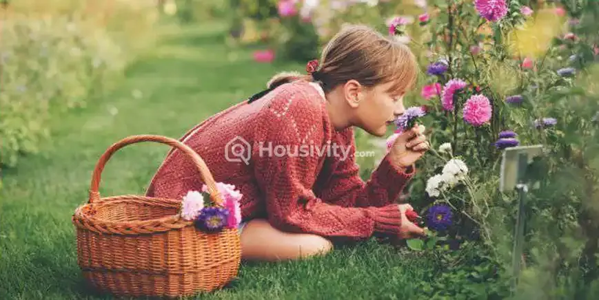 Bhaveshwar Valencia Image 4