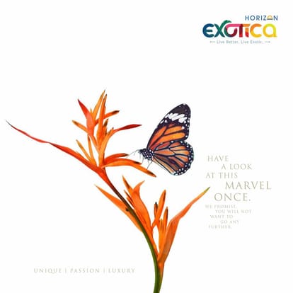 Horizon Exotica Brochure Image 1