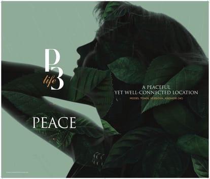 Platinum Pristine Brochure Image 6
