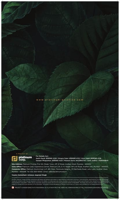 Platinum Pristine Brochure Image 24