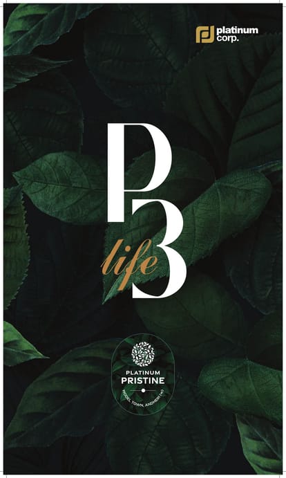 Platinum Pristine Brochure Image 1