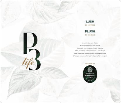 Platinum Pristine Brochure Image 2